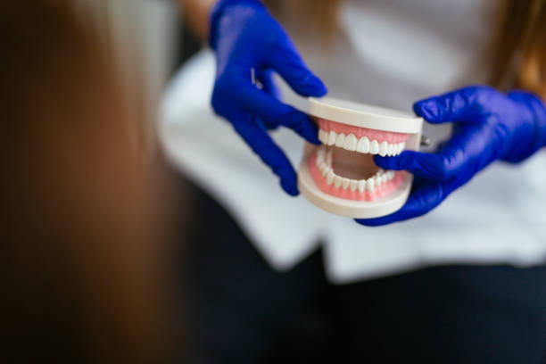 Reliable Maypearl, TX Holistic Dental Care Services Solutions